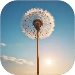成人A片一区