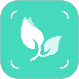 成人网站色视频在线观看