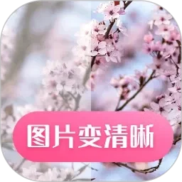 亚洲欧美中文字幕在线网站