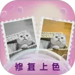 免费看AV在线观看网站